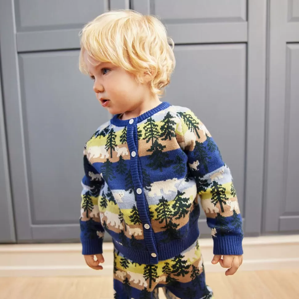Molo Blue Stripe Forest Cotton & Wool Cardigan^BOY Tops